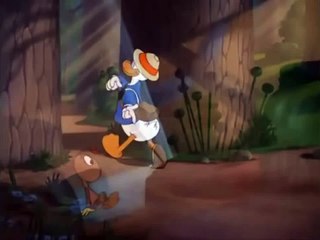 Donald duck cartoons episodes 26