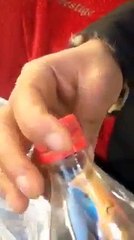 هذا السحر وجد في شواطىء مدينة سليمان من ولاية نابل