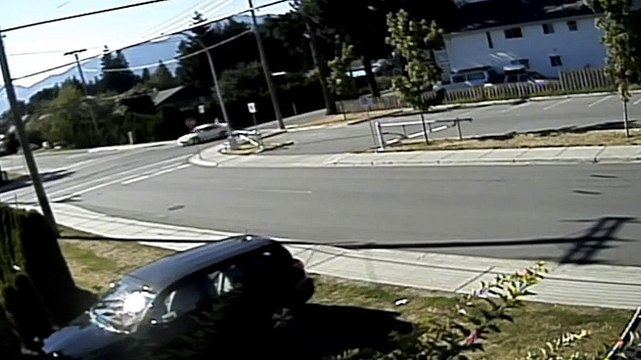 Des daims, des voleurs, des policiers fous...ce que cache vos caméras de vidéosurveillance