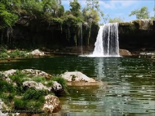 Александр Шаханин Первая