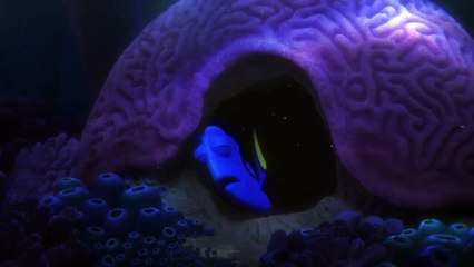 Buscando a Dory - Trailer español (HD)