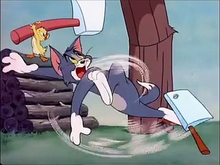 Tom and Jerry, 47 Episode - Little Quacker (1950) -
