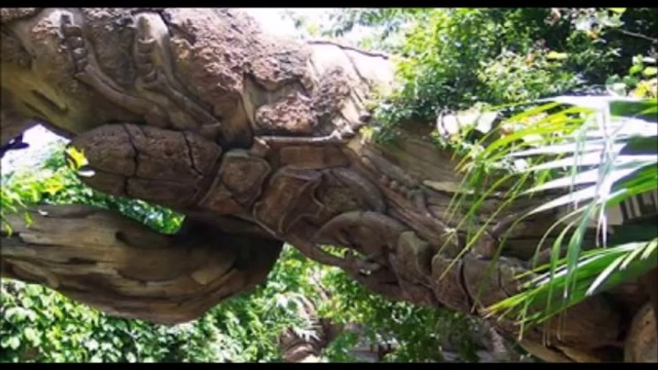 unbelievable creatures that shocked the world