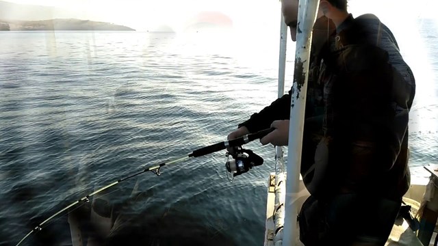 27.12.2015 Pazar günü foça balık avımız