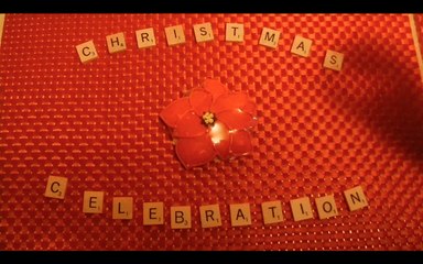 Christmas Festivities of 2015