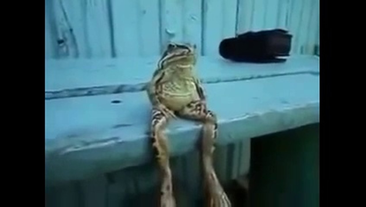 ALLAH KA AZAB ! AUR ALLAH KA KARISHMA (Punishment of Allah AND Miracle of Allah)