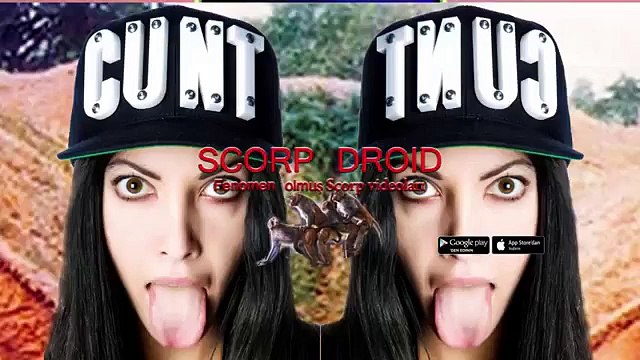 Scorp fenomen Uyanınca ilk düşünülenler Türkiye fenomen scorp videoları