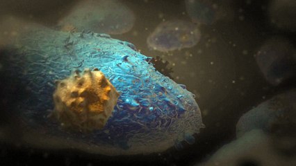 كيف يهاجم فيروس ايبولا جسم الانسان