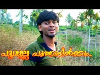 പൂമുല്ല  പൂത്തുനിൽക്കും ...| Malayalam Mappila Songs | Malayalam Album Songs 2015 [HD]