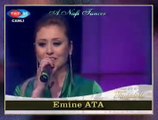 Emine ATA-Dam Başında Sarı Çiçek (Feridem)