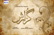 Guzaarish Episode 07 ARY DIgital - 29th December 2015 HD VIdeo