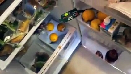 What's in seasideMARK fridge today-DyKLgaDy-Yw