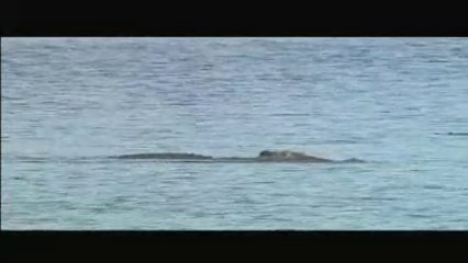 Conflits dans un fleuve