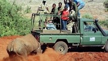 ATTACKED By a Rhino : Tourists Barely Escaped