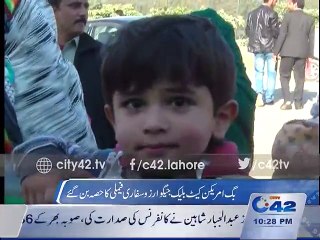 American Black Jaguar Big Cat Safari at Zoo