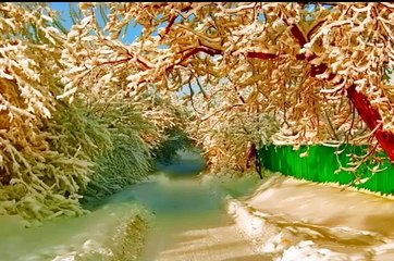 Ek Zamindar ki qabar bichu se bari thi by Maulana Tariq Jameel