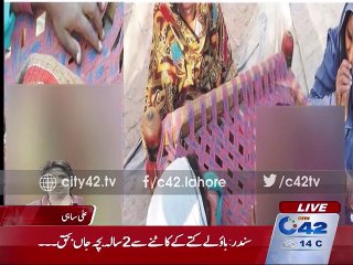 2-year-old child died after dog bites