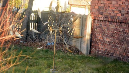 Rzeźby wiatrowe #003