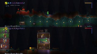 Terraria: Fighting The Twins