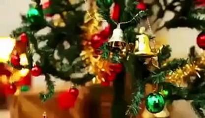 VID-20151229-WA0001.mp4