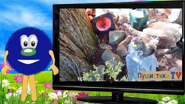 Алфавит Азбука Учим буквы азбука для малышей буква Б