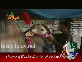 Eid Al Adha-Tezabi Totay