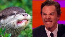 Benedict Cumberbatch, Johnny Depp and Graham Take Otter Photos - The Graham Norton Show