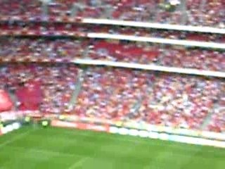 benfica aigle aguia estadio da luz