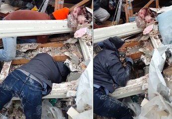 Il vient au secours d'un chien bloqué dans des débris