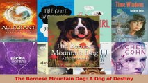 PDF Download  The Bernese Mountain Dog A Dog of Destiny PDF Online