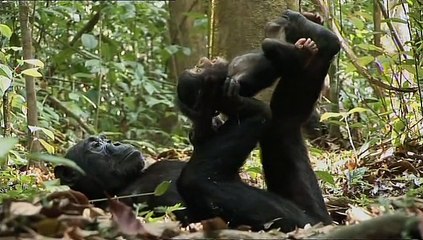 Değişen Gezegen 3. Bölüm DVDRip TRDub AC3 XviD-BDR-001