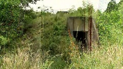 Dünya Savaşları - 9. Bölüm - İsyanlar Başlıyor 1917