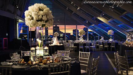 Adler Planetarium Wedding Ceremony and Reception