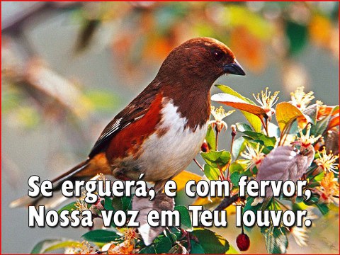 06 Por Belezas Naturais