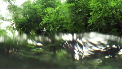 West of Memphis Official Trailer #1 - West Memphis 3, Peter Jackson Movie (2012) HD