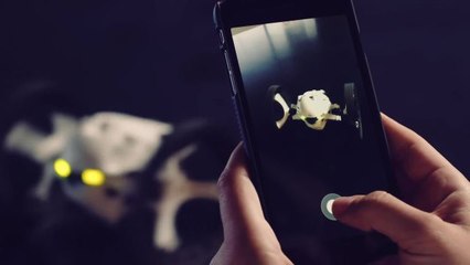 Practical Design Takes Center Stage in 2015