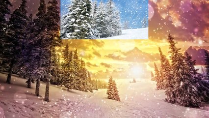 Sidney Oliver - Vive le vent