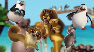 Madagascar Finger Family Finger Family Cartoon Animation Rhymes for Children