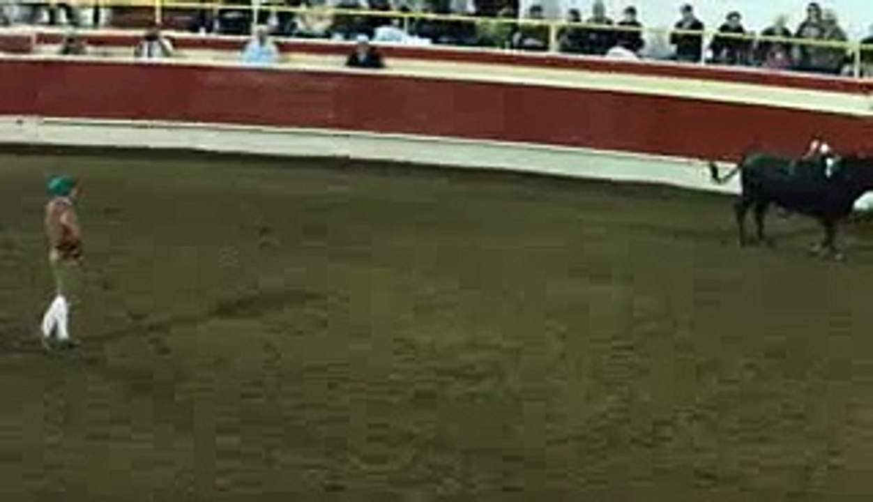 Thornton Bullfights in crowd