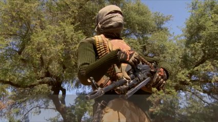 الجيش النيجيري يسترد أراضي واسعة من بوكو حرام