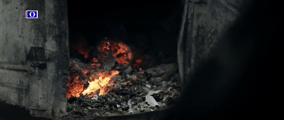 TIGRAT 2016 - Nipat e mixhës ( official video HD )