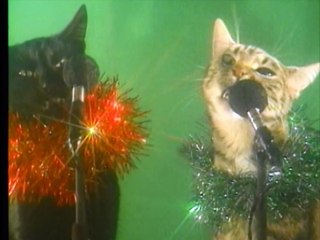 Jingle Cats 'Oh Come All Ye Faithful'