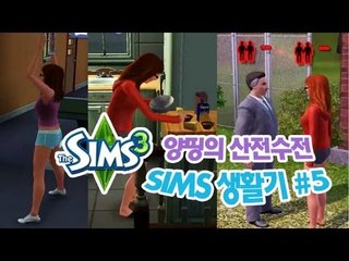 양띵 [양띵의 산전수전 심즈 3 생활기! 5편] THE SIMS 3