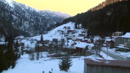 Ayder'de "Paletli Taksi" ile Kar Gezintisi