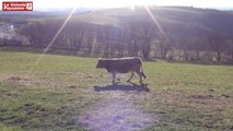 St-Chély d'Aubrac : début d'hiver très doux et des questions