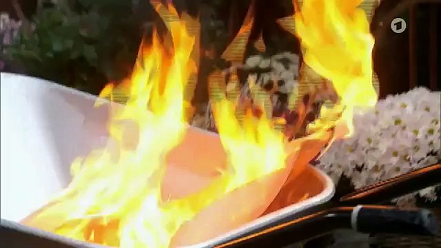 Sturm der Liebe Folge 2369