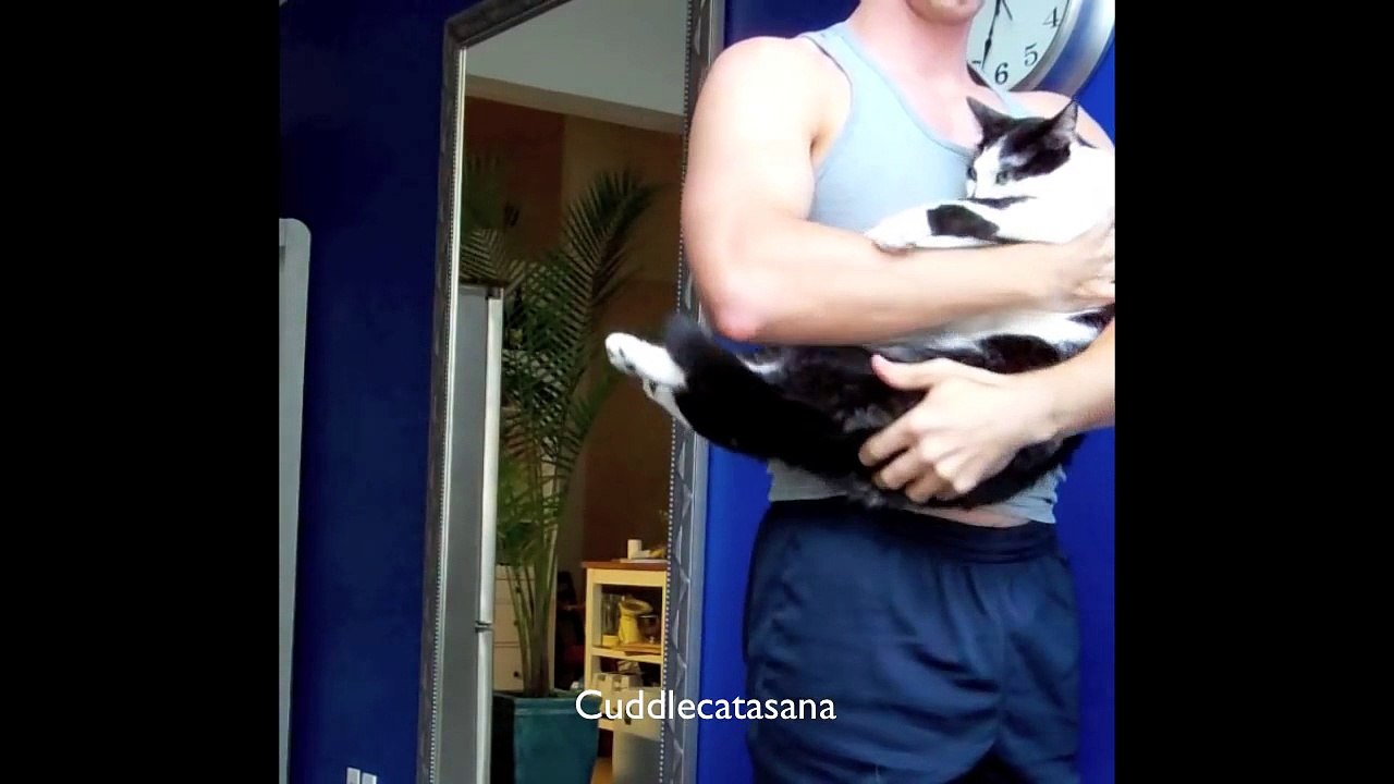 Yoga with Cats