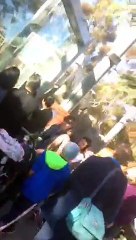 New Periscope Just Out by GershyLev