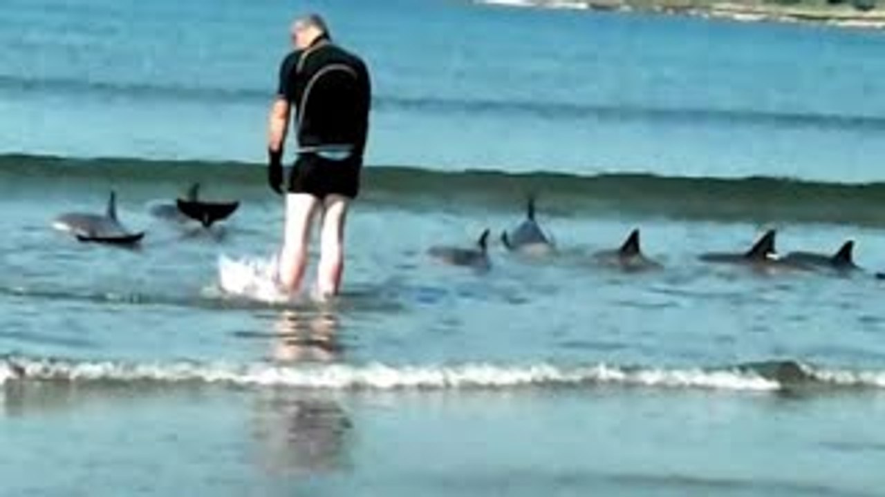 something is going on! - Strange Things Happening Around The World (August 2014)