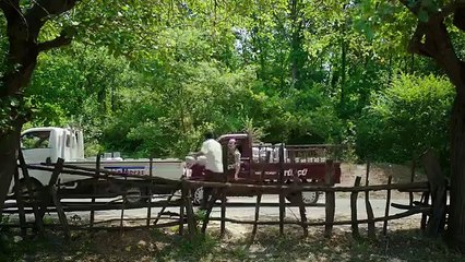 Düğün Dernek 2 Sünnet - Fragman